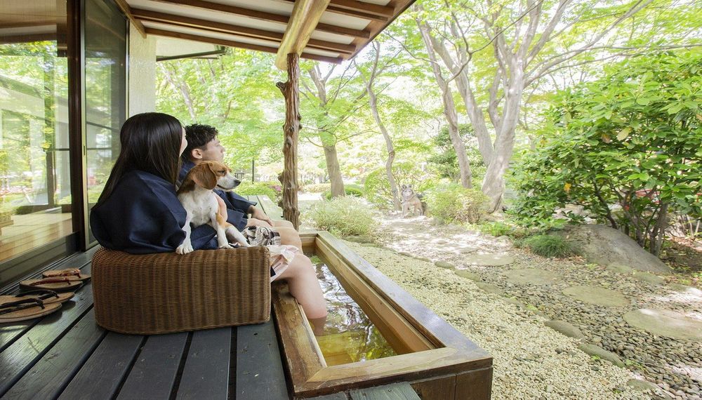 鬼怒川温泉おすすめ高級ラグジュアリーホテル・旅館11選