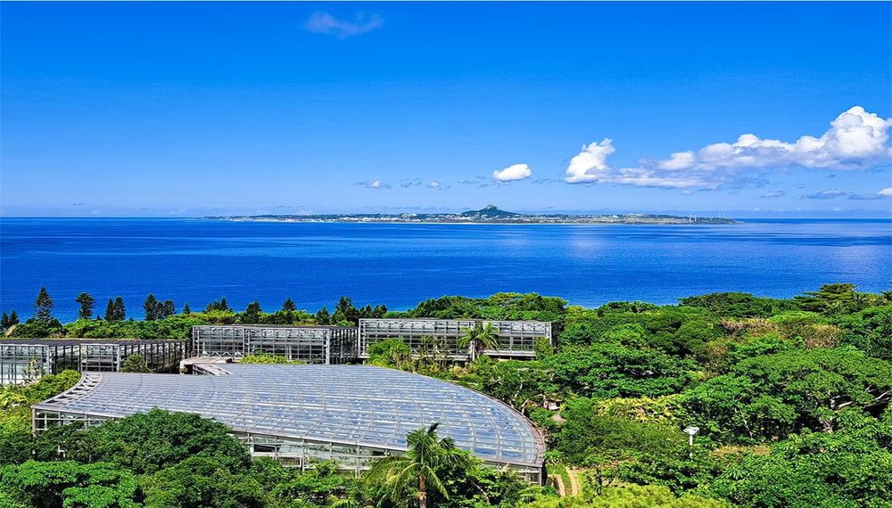 沖縄美ら海水族館近くのおすすめホテル9選｜宿泊するならココ！