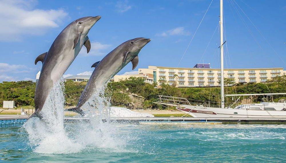 沖縄美ら海水族館近くのおすすめホテル9選｜宿泊するならココ！
